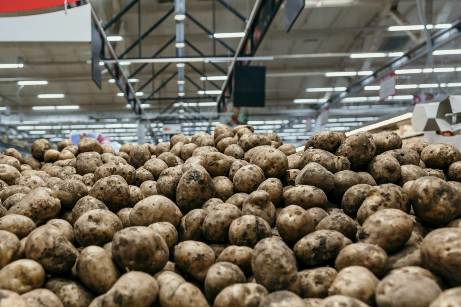 "Врожай картоплі більший, ніж торік: суттєвого зростання ціни не прогнозують", - Микола Фурдига